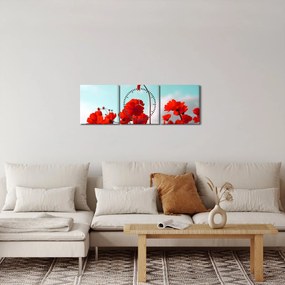 Obraz pola z jasnoczerwonymi kwiatami (z zegarem) (90x30 cm)
