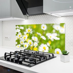 Panel Szklany do Kuchni Urok Polnej Stokrotki