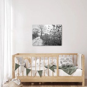 Obraz - Pola w zimie (70x50 cm)