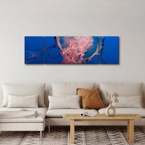 Obraz meduzy (170x50 cm)