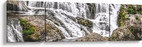 Obraz - Rapids (170x50 cm)