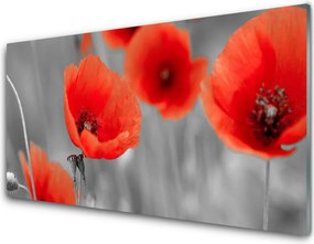 Panel Szklany do Kuchni Czerwone Maki w Polu