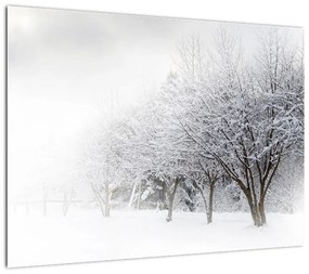 Obraz na szkle - Zimowa aleja (70x50 cm)
