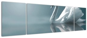 Obraz - Biały łabędź (170x50 cm)