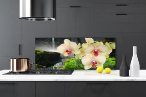 Panel Kuchenny Słońce Przebijające Przez Korony