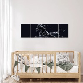 Obraz - Koń i woda (170x50 cm)