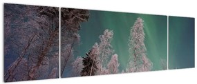 Obraz zorzy polarnej nad zamarzniętymi drzewami (170x50 cm)