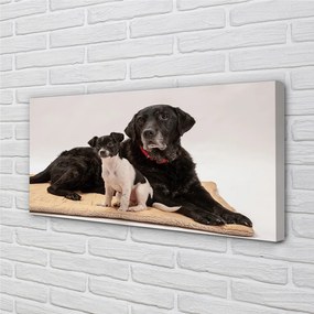 Duży obraz na płótnie Odpoczywające Psy