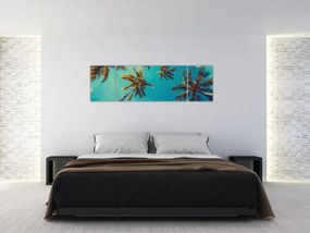 Obraz - Wysokie palmy (170x50 cm)