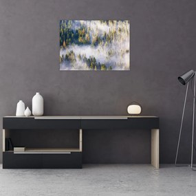 Obraz na szkle drzew we mgle (70x50 cm)