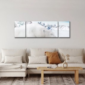 Obraz - Niedźwiedź polarny (170x50 cm)