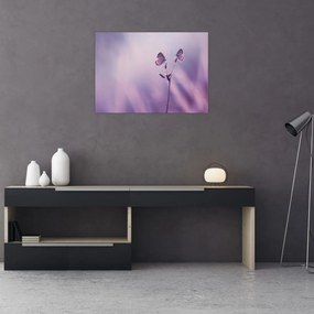 Obraz - Fioletowe motyle (70x50 cm)