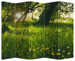 Parawan - Łąka (210x170 cm)