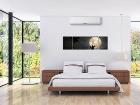 Obraz - Plaża pod pełnią księżyca w odcieniach szarości (170x50 cm)