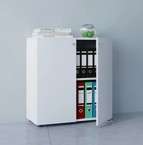 Szafka biurowa z kartoteką Lona 2-krotna