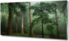 Foto obraz szkło hartowane Mgła w lesie