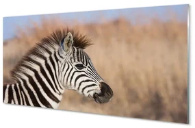 Szklany Panel Zebra