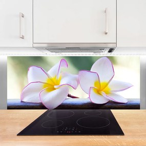 Panel Szklany Kwiaty Płatki Plumeria