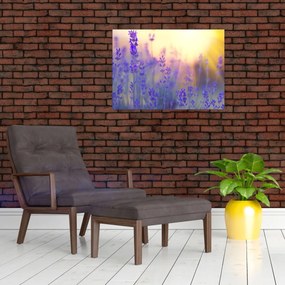 Obraz - Lawenda (70x50 cm)