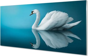 Panel szklany do Kuchni Majestatyczny Łabędź na Wodzie