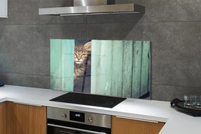 Panel Szklany Ciekawskie Spojrzenie Kota