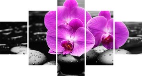 Obraz - Fioletowe orchidee (125x70 cm)