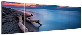 Obraz plaży o zachodzie słońca (170x50 cm)