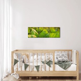 Obraz - Pole (z zegarem) (90x30 cm)