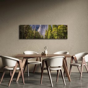 Obraz - Pod Yosemite Rock (170x50 cm)