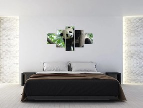 Obraz - Panda na drzewie (125x70 cm)