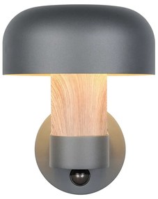 Zewnętrzna lampa ścienna (wysokość 24,5 cm) Fraser – Trio