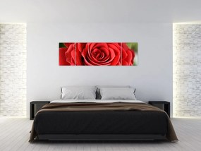 Obraz kwiatu róży (170x50 cm)