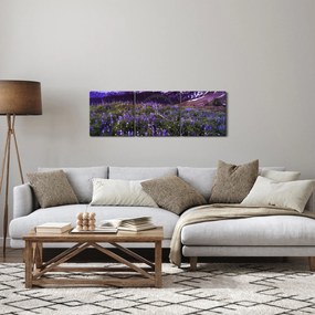 Obraz - Wulkan i kwiaty (z zegarem) (90x30 cm)