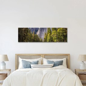 Obraz - Pod Yosemite Rock (170x50 cm)