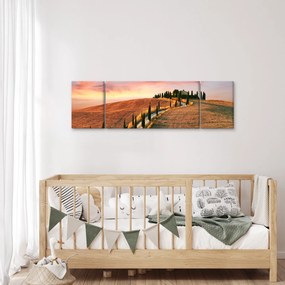 Obraz - Dom na wzgórzu, Toskania, Włochy (170x50 cm)