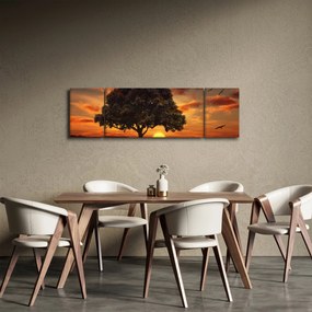 Obraz drzewa o zachodzie słońca (170x50 cm)