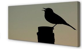 Obraz na płótnie Tajemniczy Czarny Ptak