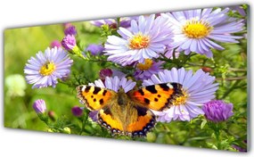 Panel Szklany do Kuchni Motyl Wśród Polnych Kwiatów