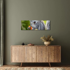 Obraz lemura (z zegarem) (90x30 cm)