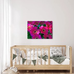 Obraz - kwiaty (70x50 cm)