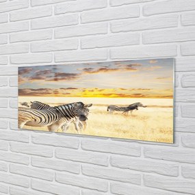 Panel nad Blat Kuchenny Zebry w Złotej Godzinie