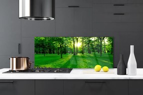 Panel Kuchenny Spokojna Aleja W Parku