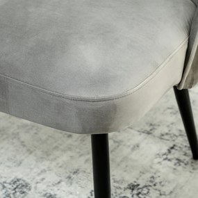 HOMCOM 2-osobowa sofa, nowoczesna tapicerowana kanapa z metalowo-drewnianą ramą, tapicerka o welurowym wyglądzie, Grau