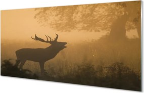 Panel nad Blat Kuchenny Sylwetka Jelenia o Wschodzie