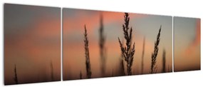 Obraz - Sylwetka rośliny (170x50 cm)