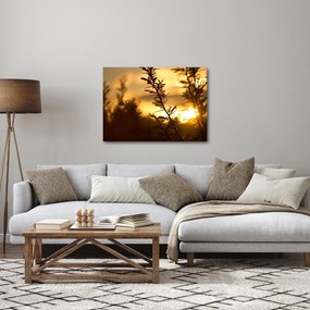 Obraz - słońce zachodzące za drzewami (70x50 cm)