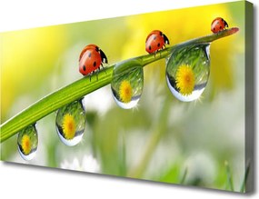 Obraz canvas na ścianę Biedronka na Zielonym Liściu