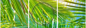 Obraz - Liście palmowe (z zegarem) (90x30 cm)