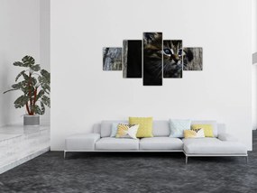 Obraz kotka (125x70 cm)