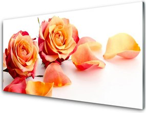 Panel Szklany Aksamitne Róże w Ogrodzie